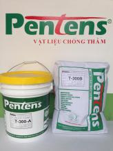 Pentens T-300(chống thấm gốc xi măng)